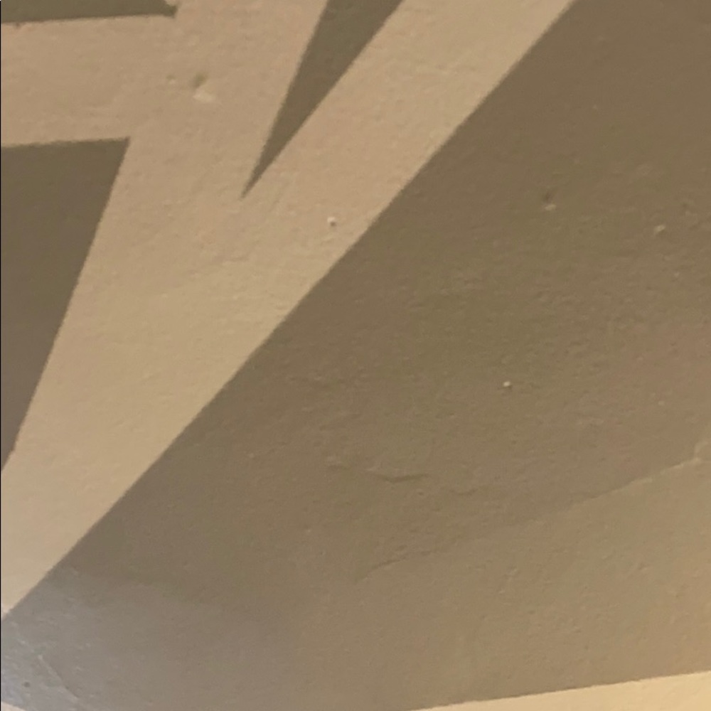 Meet your Posher, Dannalee